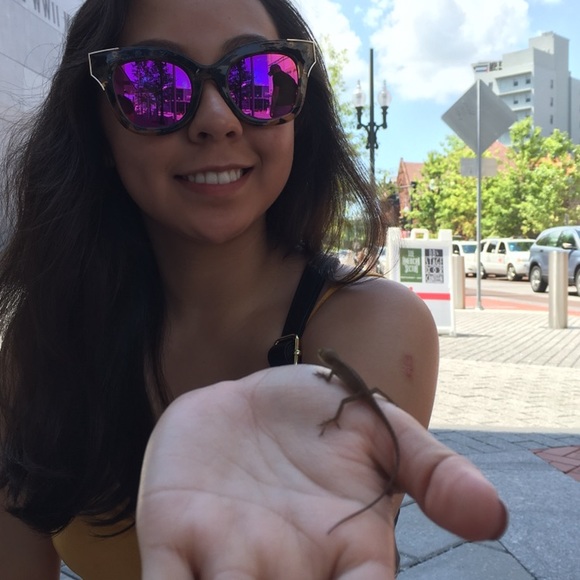 Welcome - Picture 4 of 8